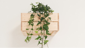 Stratégies d'adaptation pour les publics modernes